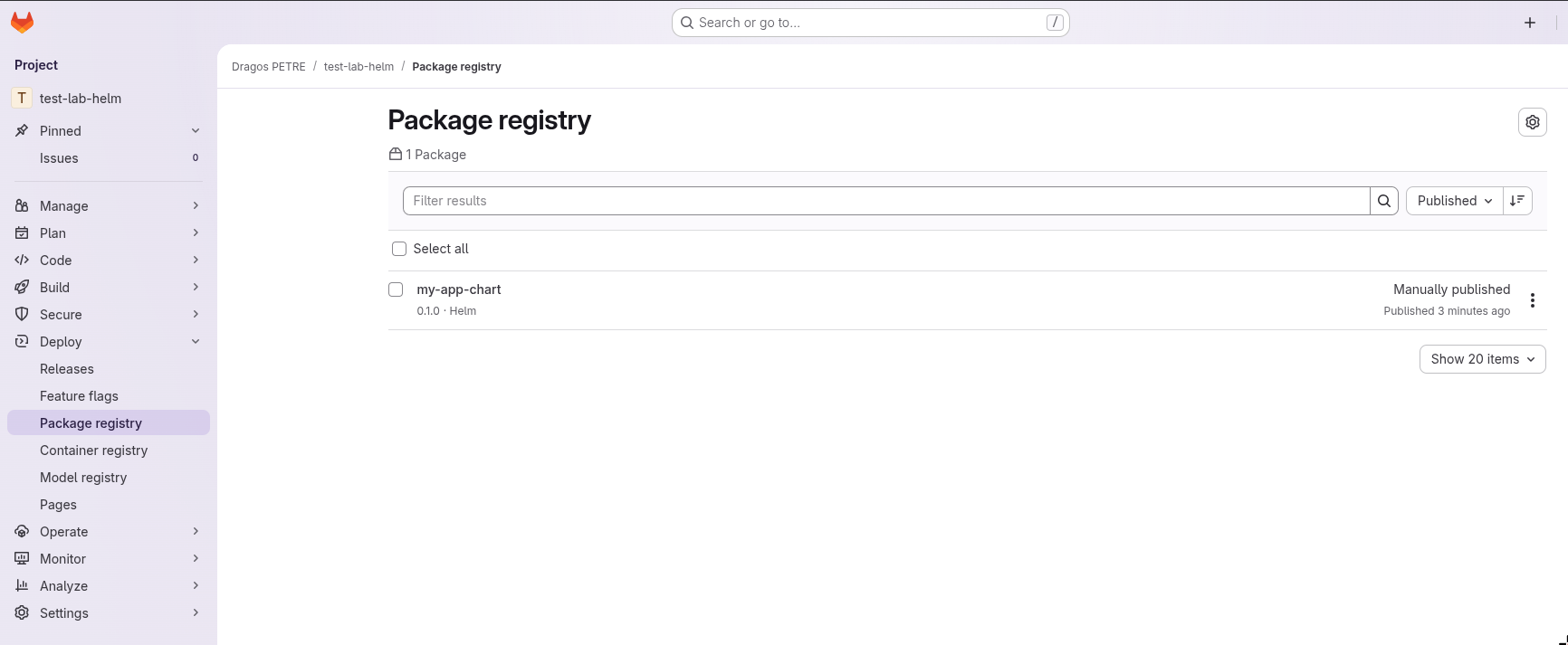 Package Registry
